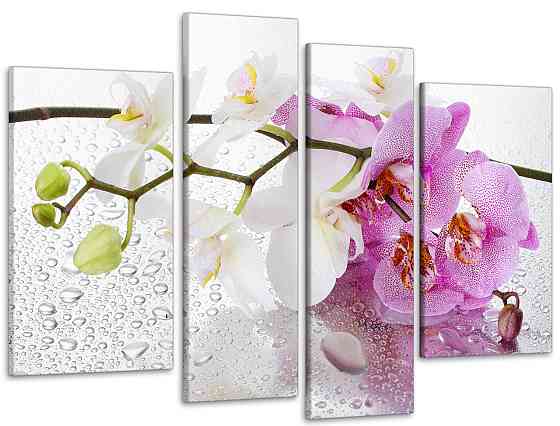 Модульна картина Квіти Орхідея Art-9_4 Київ
