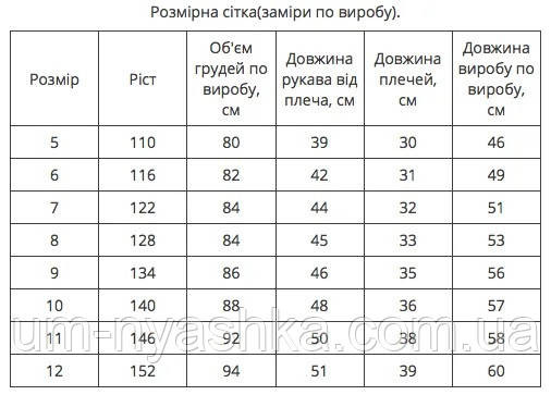 Вишиванка для хлопчика "Ярослав" жовто-зелено-червона Кривий Ріг - фото 5