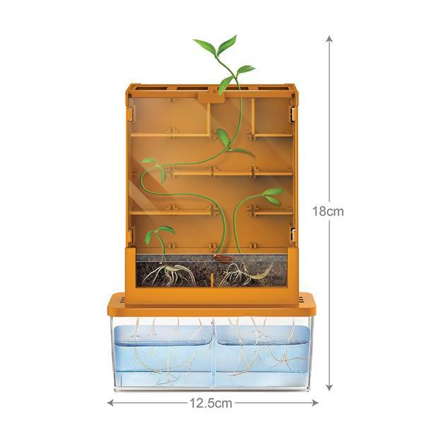 Набір для досліджень 4М Вирощування рослин та експерименти Лабіринт (00-03352) Харків - фото 18