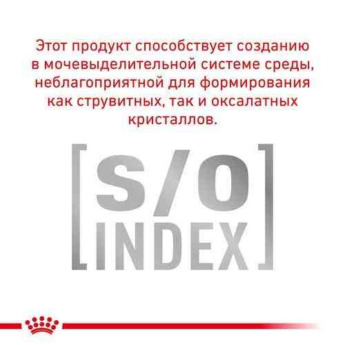 Royal Canin Hepatic (Рояв Канін Гепатик Фелін) сухий корм для кішок при захворюваннях печінки 2 кг. Запоріжжя