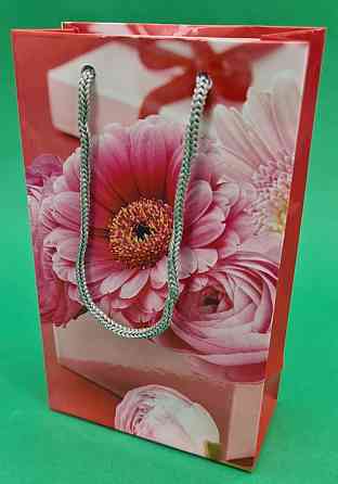 Пакет паперовий подарунковий малий 11/18/5 (арт М014) (12 шт.) Харків