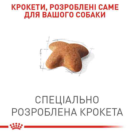 Корм для взрослых собак породы Бигль ROYAL CANIN BEAGLE ADULT 3 кг Киев