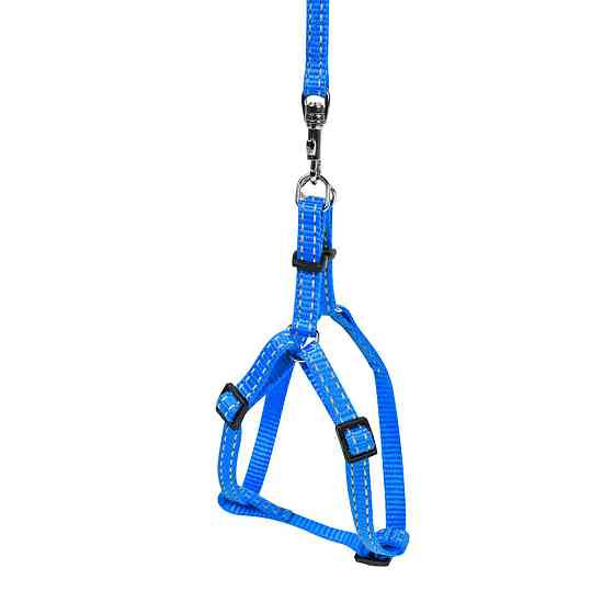 Шлея "Dog Extreme" з нейлону регульована з повідцем для котів, кроликів і морських свинок (ширина 10мм, В:28-40см) блакитний Київ
