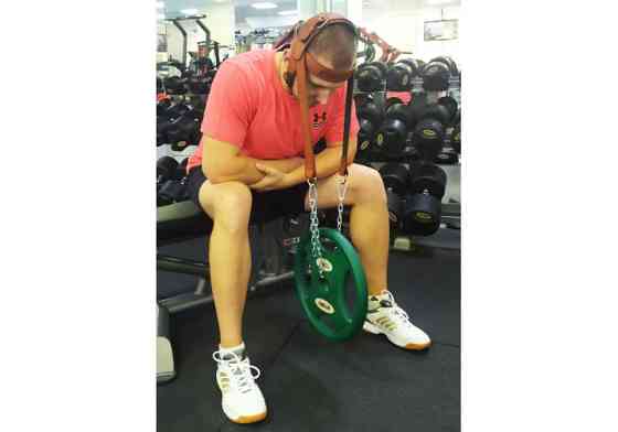 EasyFit Упряж EasyFit BISON коричнева (шкіра) Киев