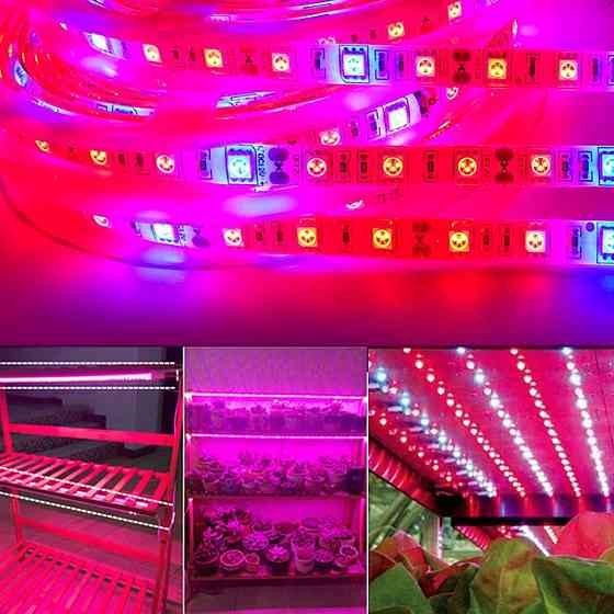 Світлодіодна фітострічка для рослин,від мережі,3 м SBR Київ