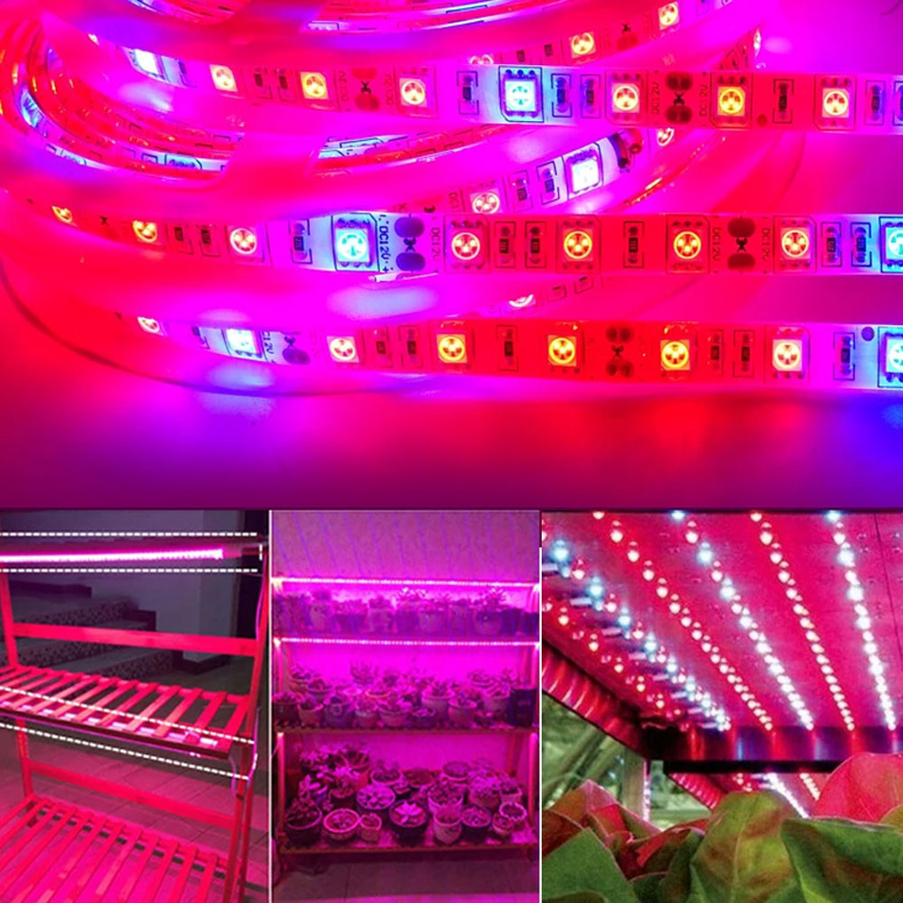 Світлодіодна фітострічка для рослин,від мережі,3 м SBR Київ - фото 2
