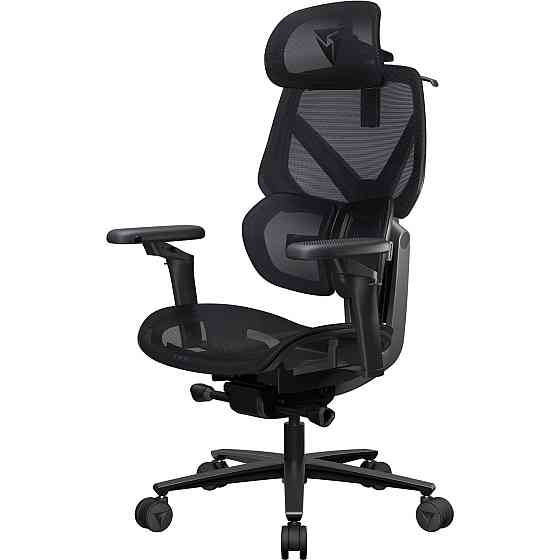 Крісло для геймерів TX3 Flex Pro Mesh Black (TEGC-3076101.12) ( Чорний ) Харків