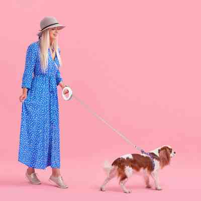 Поводок для собак WAUDOG R-leash светоотражающая лента XS-M до 40 кг 2.9 м белый (812715) Винница