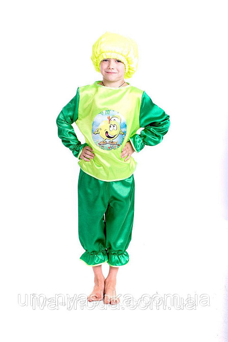 Яблуко Костюм яблука Кривий Ріг - фото 1