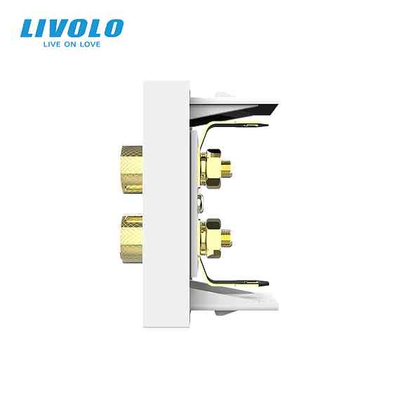 LIVOLO Аудіо розетка LIVOLO Banana Plug, біла, для колонок / підсилювача, модуль 0.5 поста (VL- Коломия