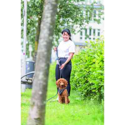 Шлея для собак Trixie CityStyle H-harness Бавовна L–XL 75–120 см 25 мм Чорна (4053032682665) Вінниця