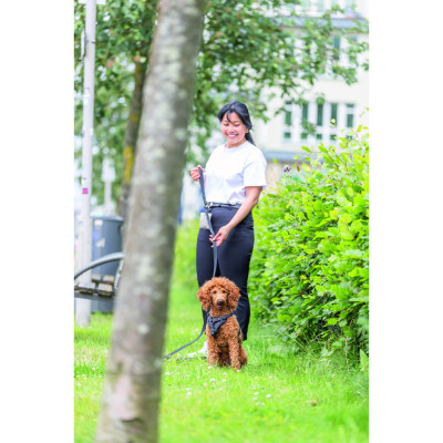 Шлея для собак Trixie CityStyle H-harness Бавовна L–XL 75–120 см 25 мм Чорна (4053032682665) Вінниця - фото 2