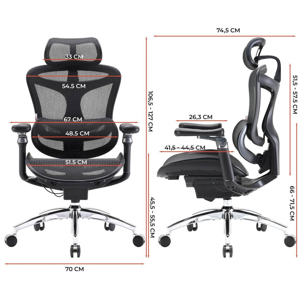 Крісло офісне Sihoo Doro C300 Pro Mesh Black (DORO-C300-PRO-M101) ( 17925 ) Харків - фото 1