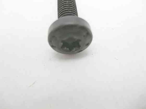 Mercedes-Benz  N000000002490 Болт з головкою Торкс T25 та різьбленням M5 x 25 mm кріплення моторчика панорами Одесса