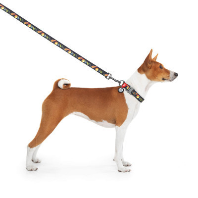 Нашийник для тварин WAUDOG Nylon з QR паспортом "Рік і Морті 3" металева пряжка-фастекс XL (4508-0282) Вінниця - фото 4