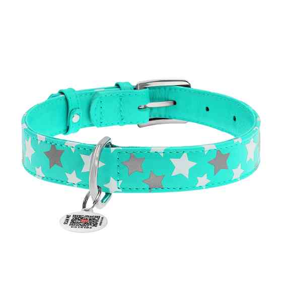 Нашийник для собак шкіряний WAUDOG Glamour з QR паспортом, візерунок "Зірочка", світлонакопичув Коломыя