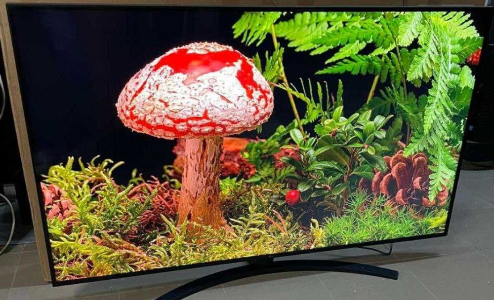 Телевизор: 55