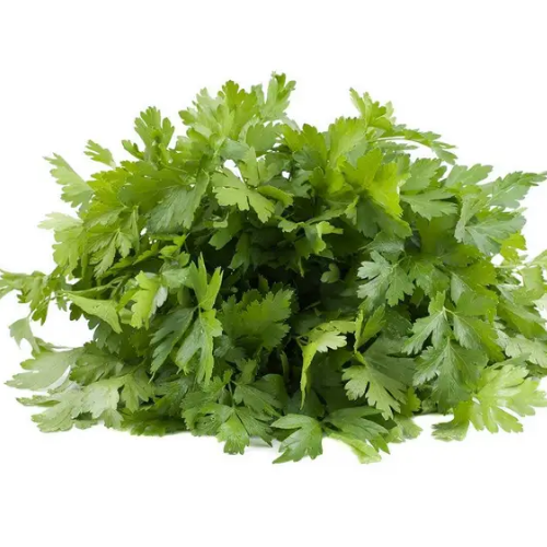 Петрушка Гігант де Італія листова 20гр Професійне насіння Житомир - фото 3