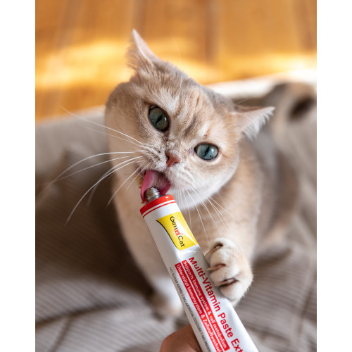 Вітаміни GimCat Every Day Extra мультивітамінна паста для котів для покращення імунітета 100 г Київ - фото 6