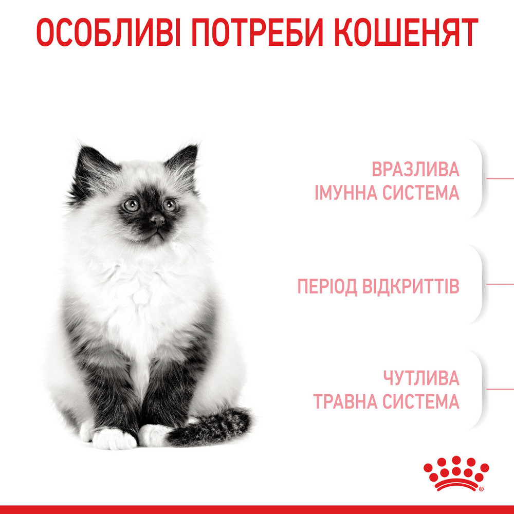 Royal Canin Kitten (Рояв Канін Кіттен) сухий корм для котят під час другої фази росту 2 кг. Запоріжжя - фото 7