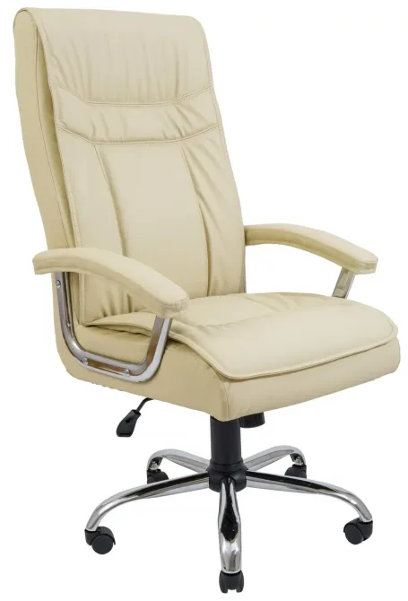 Офисное Кресло Руководителя Richman Бургас Fly 2207 Хром М2 AnyFix Бежевый Киев - изображение 1