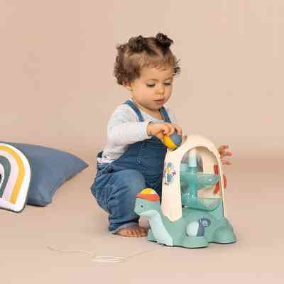 Развивающая игрушка Smoby Little Черепашка 2 в 1 (140310) Вінниця