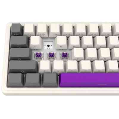 Клавиатура Lorgar KBP70MW Pro RGB Wireless/Bluetooth/USB UA Beige (LRG-KBP70MW-RT-US) Винница