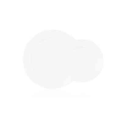 Блюдце Ardesto 24х18 см (AR3705) Винница