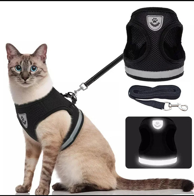 Светоотражающая шлея для собачек и кошек с поводком тканевая в сеточку S черный Киев - изображение 2