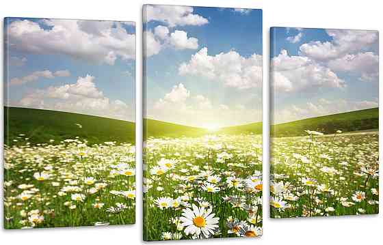 Модульна картина Поле Ромашок Art-170_3 Київ