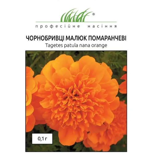 Чорнобривці Малюк розлогі помаранч 0,1гр Професійне насіння Житомир - изображение 2
