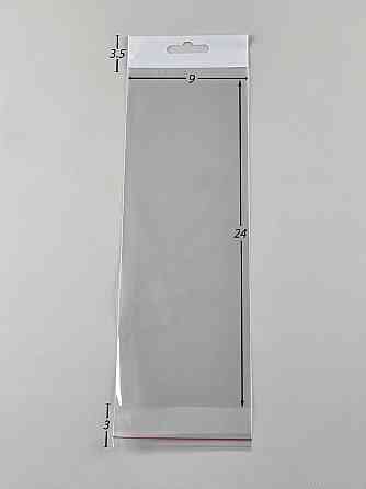 Пакеты для упаковки прозрачные с клейкой лентой и подвесом 9*24+3\25мк +скотч(+еврослот3,5) (1000 шт) Харьков