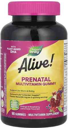Вітаміни для вагітних Nature's Way Alive!® Prenatal Multivitamin Gummy 90 жув таб апельсин і малина-лимонад Київ