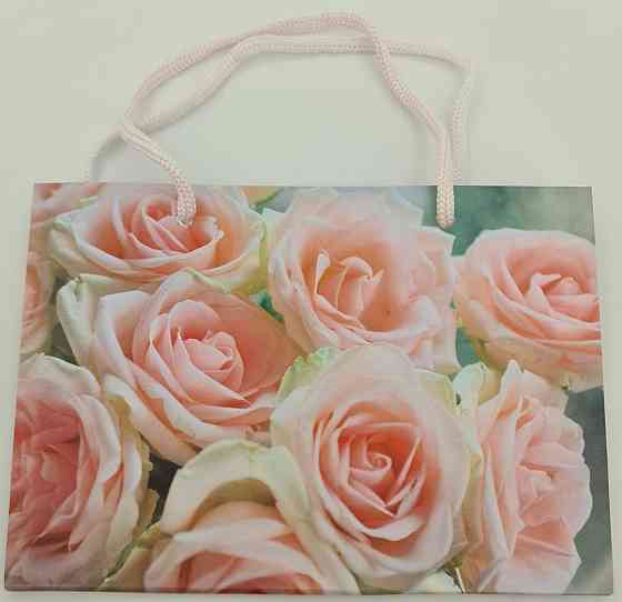 Пакет бумажный малый горизонтальный 11/18/5(арт М027) (12 шт) Харьков