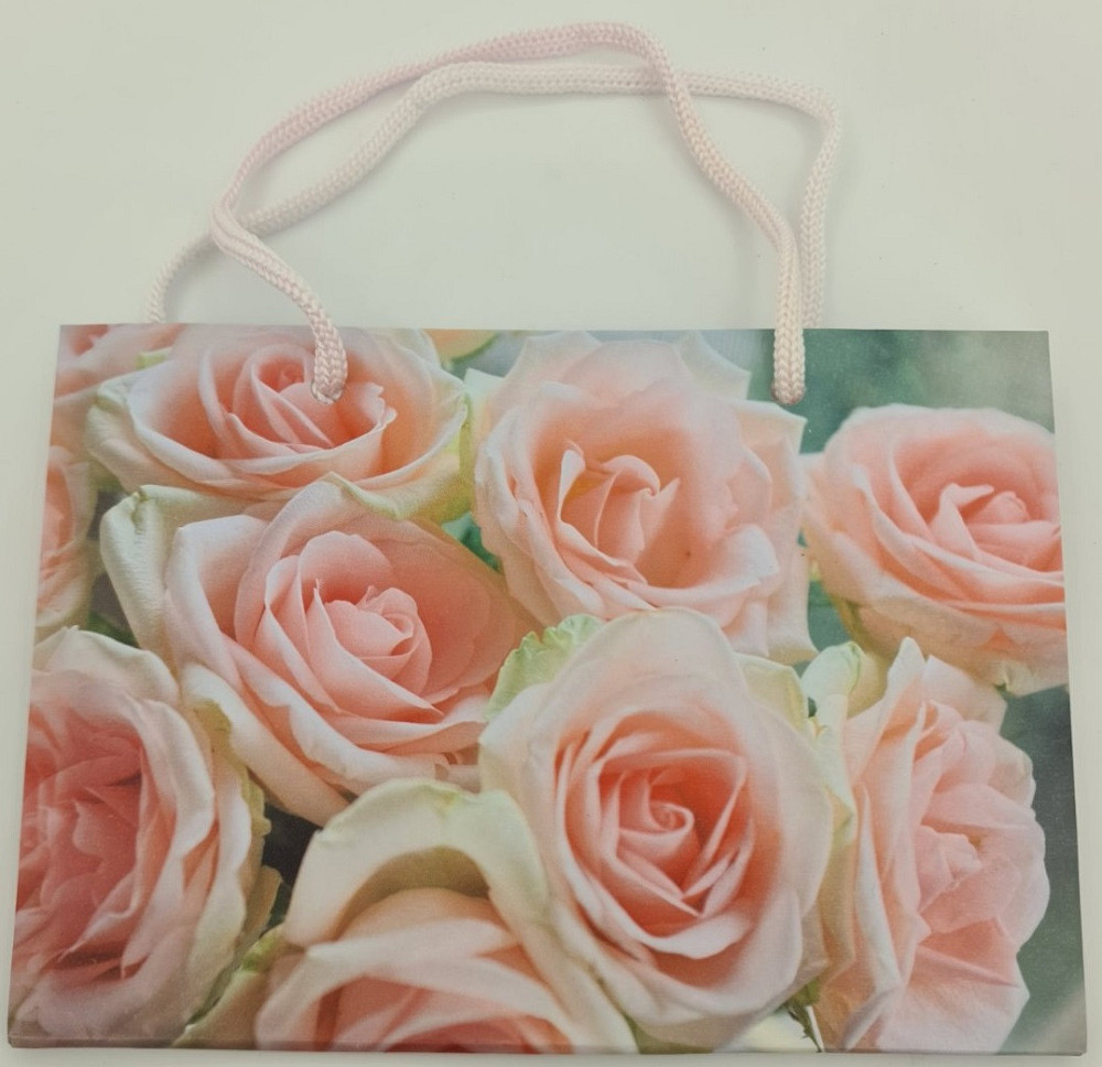 Пакет паперовий малий горизонтальний 11/18/5 (арт М027) (12 шт.) Харків - фото 3