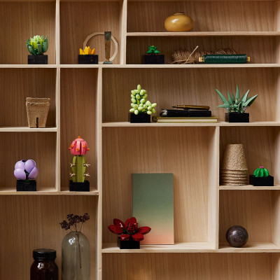 Конструктор LEGO Botanicals Суккуленты (10309-) Винница - изображение 7