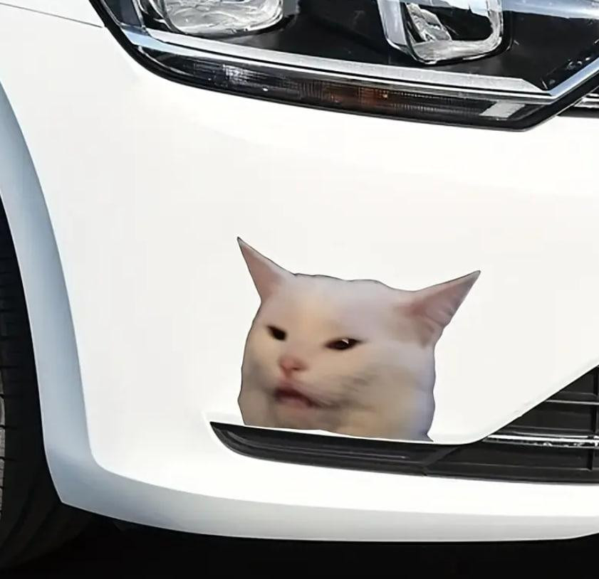 Водонепроницаемая наклейка с котом, стойкая виниловая наклейка для авто, мотоциклов, ноутбуков, стек Киев - изображение 2