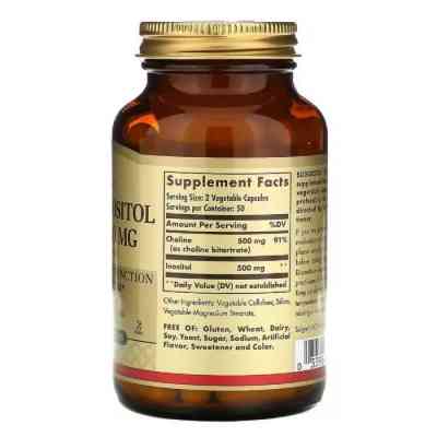 Вітамін Solgar Холін і Інозитол, Choline / Inositol, 500 мг / 500 мг, 100 к (SOL-00850) Вінниця