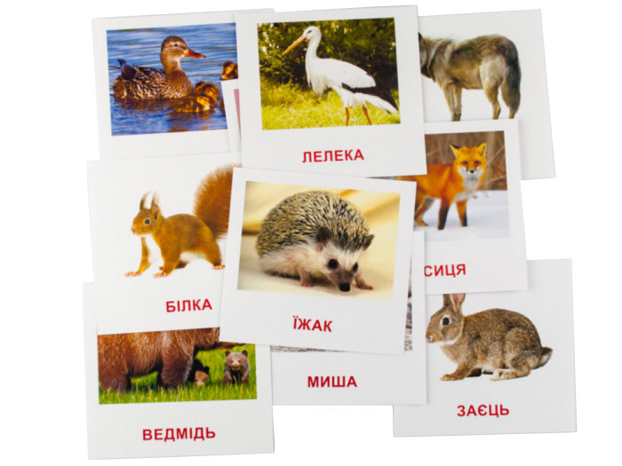 Развивающие карточки 