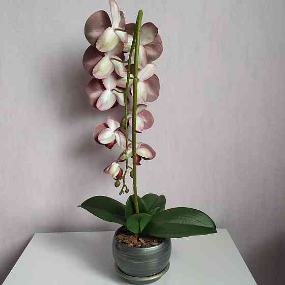 Штучна латексна орхідея VIP у сірому керамічному кашпо на одну бордову гілку Дніпро