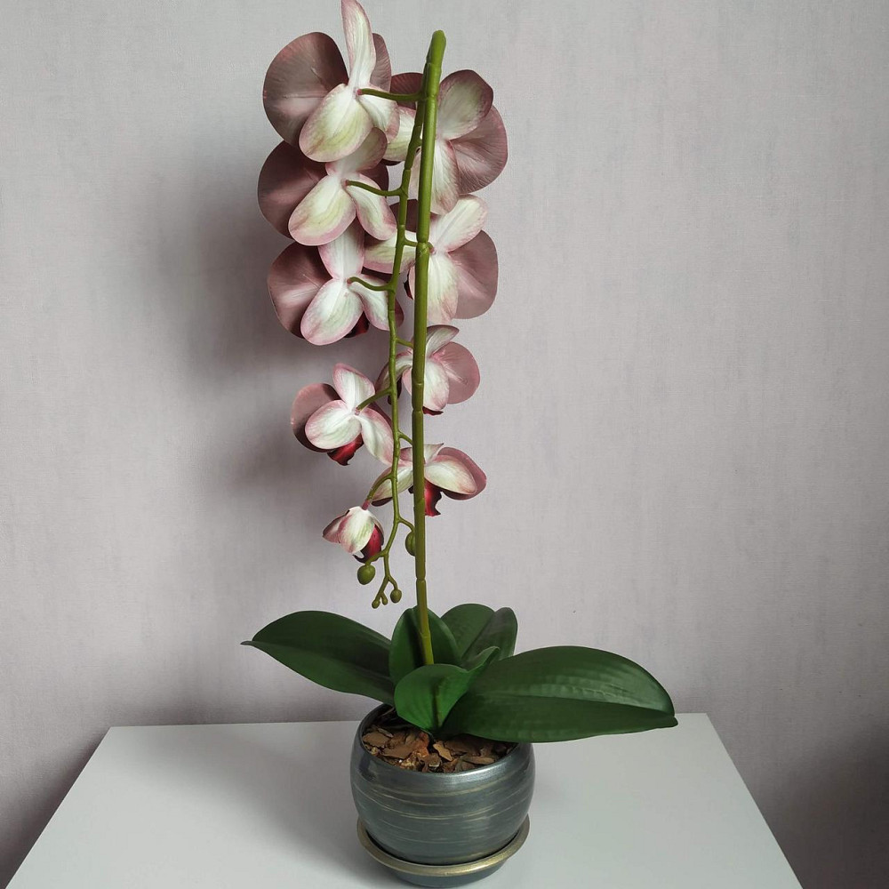 Штучна латексна орхідея VIP у сірому керамічному кашпо на одну бордову гілку Дніпро - фото 5