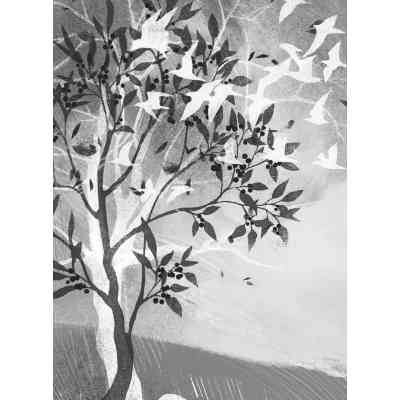 Книга Берегиня і пілот Роджер - Дзвінка Матіяш Видавництво Старого Лева (9789664484869) Вінниця