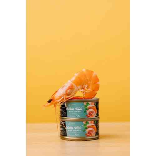 Корм вологий Savory Chicken Fillets rich in Shrimps in Jelly for Kittens філе курки з креветками в желе для кошенят, 70 г Київ