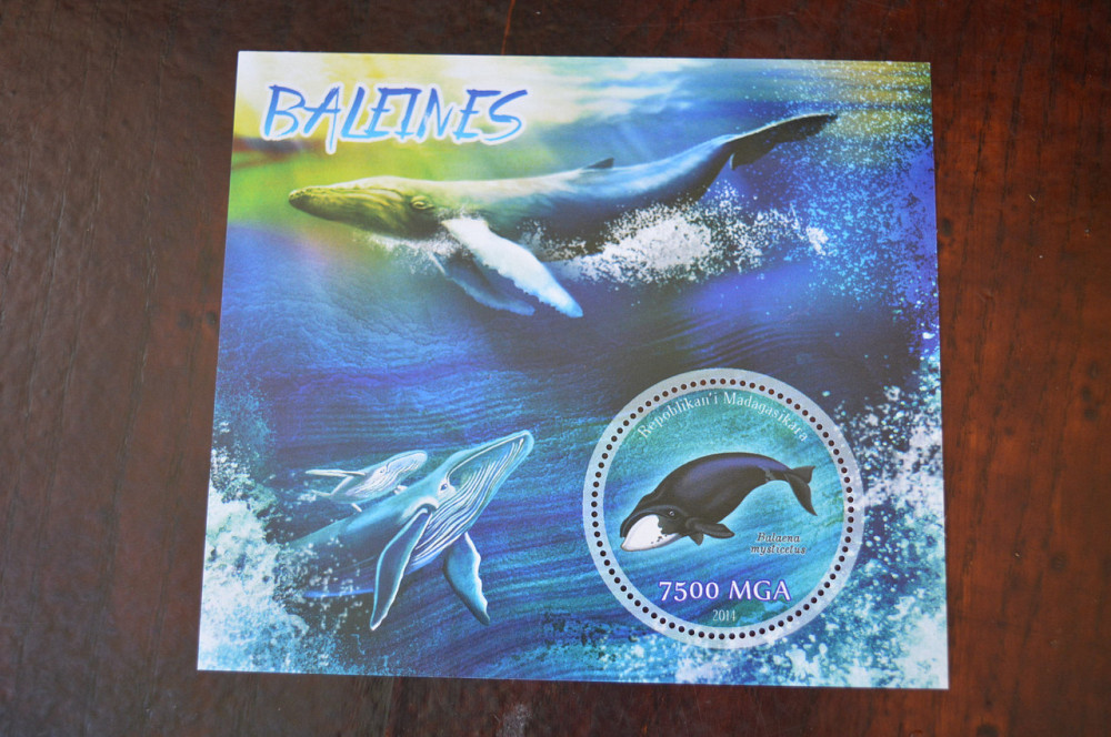 Мадагаскар. Фауна. Личности. Блок. (А-35) Полтава - фото 1