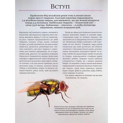 Книга Велика книга тварин - Клаудія Мартін Vivat (9786171704794) Винница - изображение 10