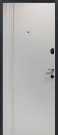 Входные двери ТАРИМУС Дверная Индустрия 