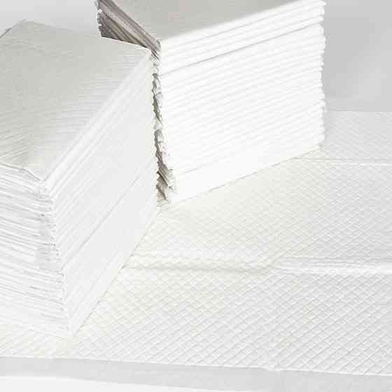 Гігієнічні пелюшки для собак "SaniPet" 45х60 см (50 шт) "Природа" Вінниця