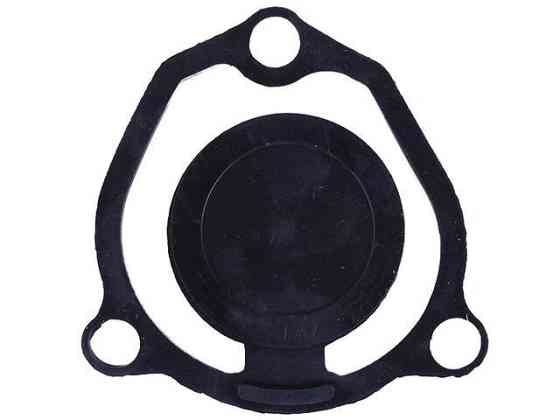 Зворотний клапан на мотопомпу під подовжений фланець ( 2) В 50 Мукачево