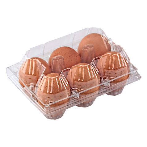 Упаковка для куриных яиц  6 ячеек (50 шт) Харьков - изображение 4