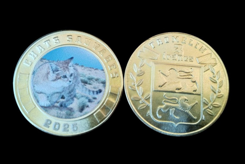 Тромелін 3 франка 2025 БАРХАННИЙ КІТ Полтава - фото 1